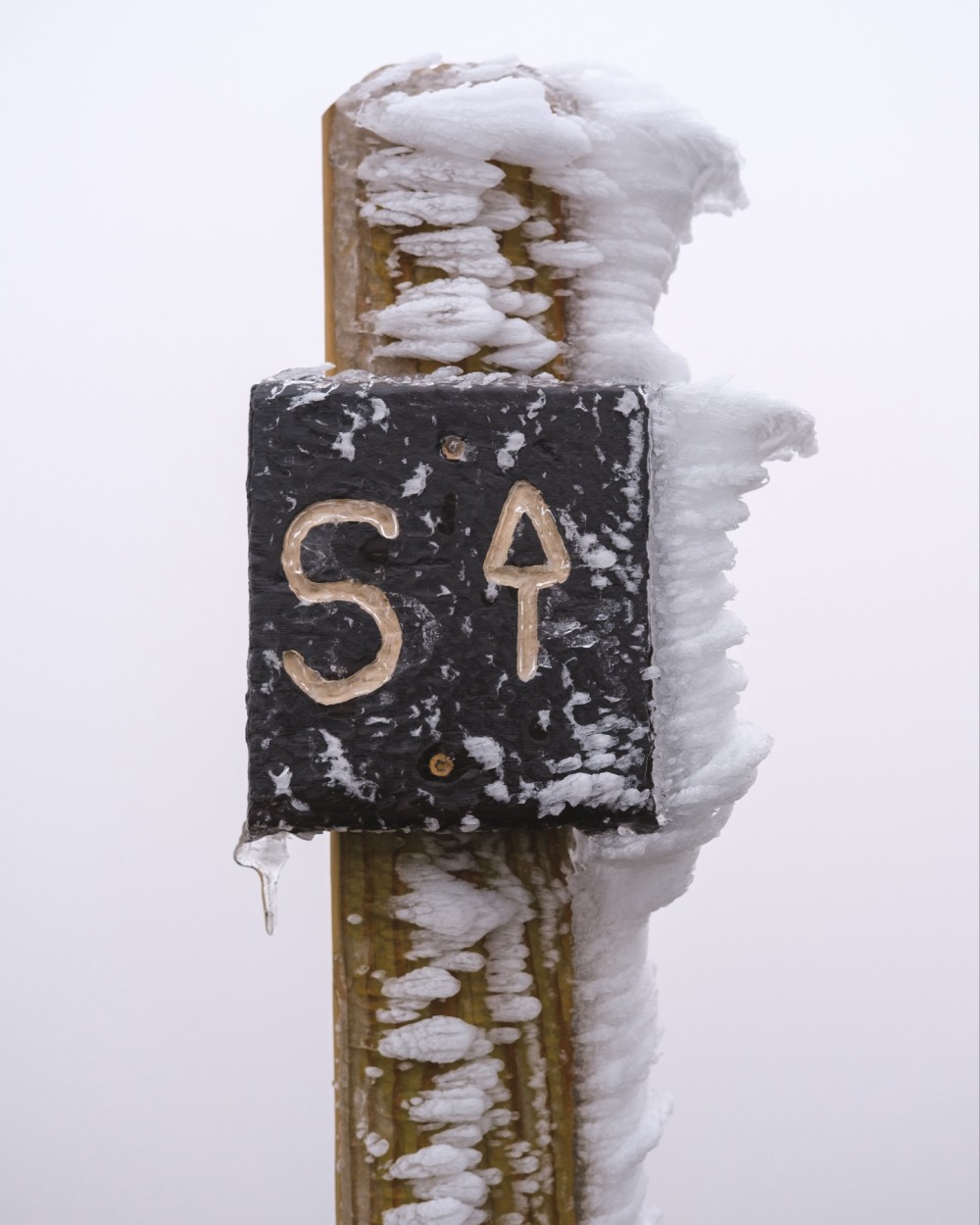 An ice-covered signpost with the letter "S" carved into it, icicles forming, and frost clinging to the wood in a cold, wintry environment.