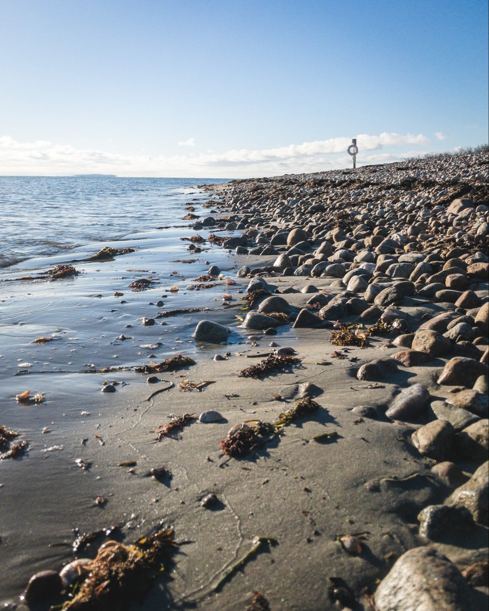 A pebble-strewn beach with wet sand, seaweed, and a life preserver in the distance near the water's edge, under a clear blue sky.