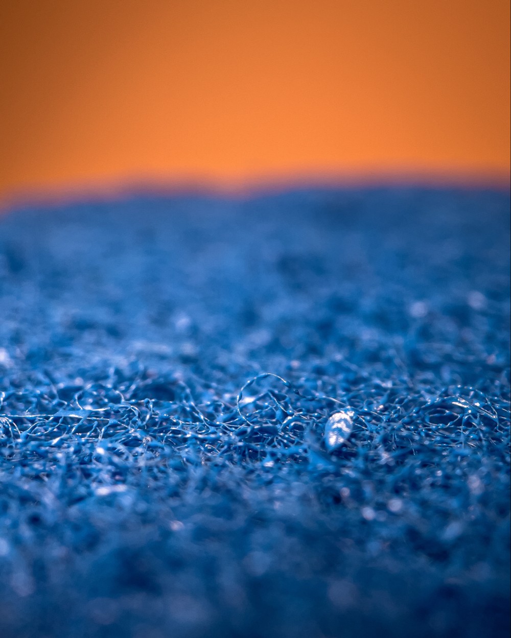 Macro photo of a flat blue sponge with a wirey texture in front of an orange background.