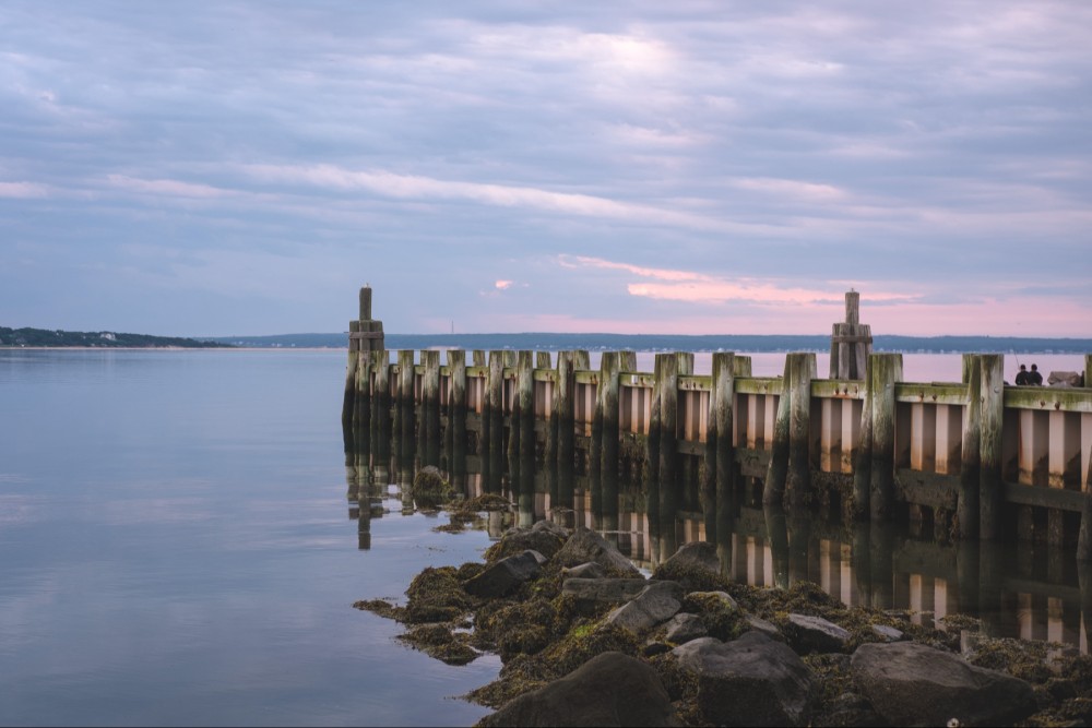 A weathered wooden pier stretching into calm waters under a pastel-colored sunrise sky. Rocks covered in seaweed line the shore in the foreground.