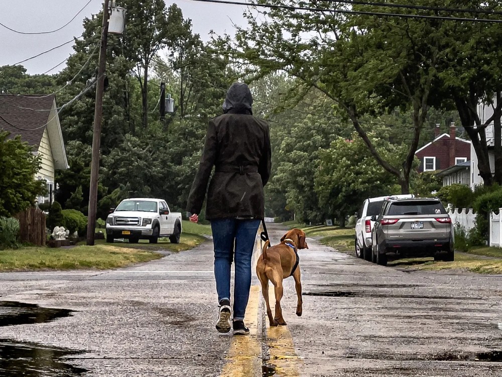 Photo of a person in a rain coat walking a dog on a quaint neighborhood street on a rainy day. They are walking down the middle of the street on top of the yellow lane markers surrounded by puddles, parked cars, and houses.