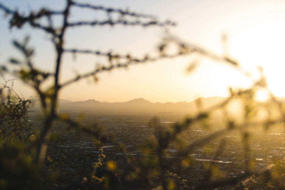 A golden sunrise over a distant mountain range with a blurry foreground of thin branches and leaves. A cityscape is visible in the mid-ground.