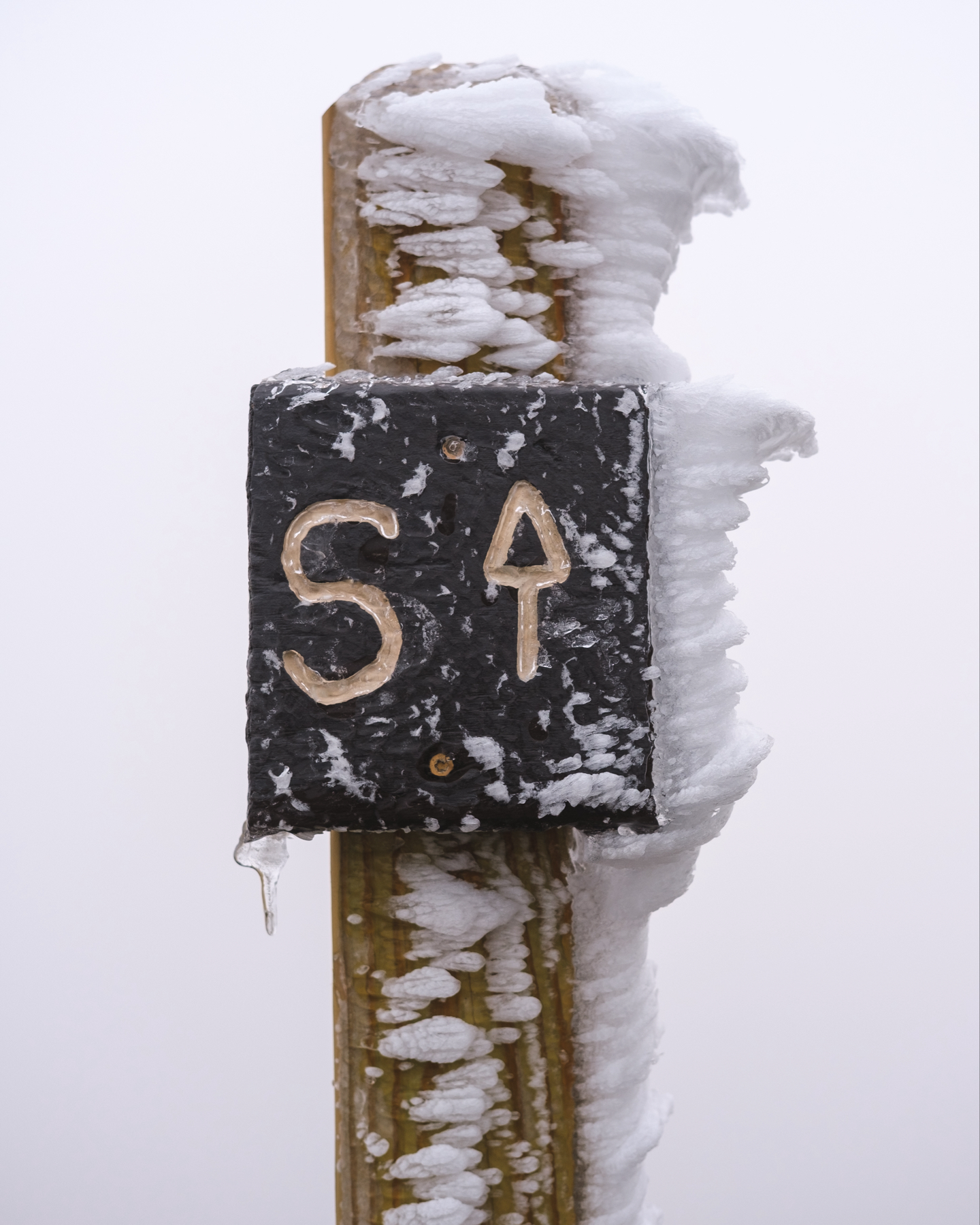 An ice-covered signpost with the letter “S” carved into it, icicles forming, and frost clinging to the wood in a cold, wintry environment.