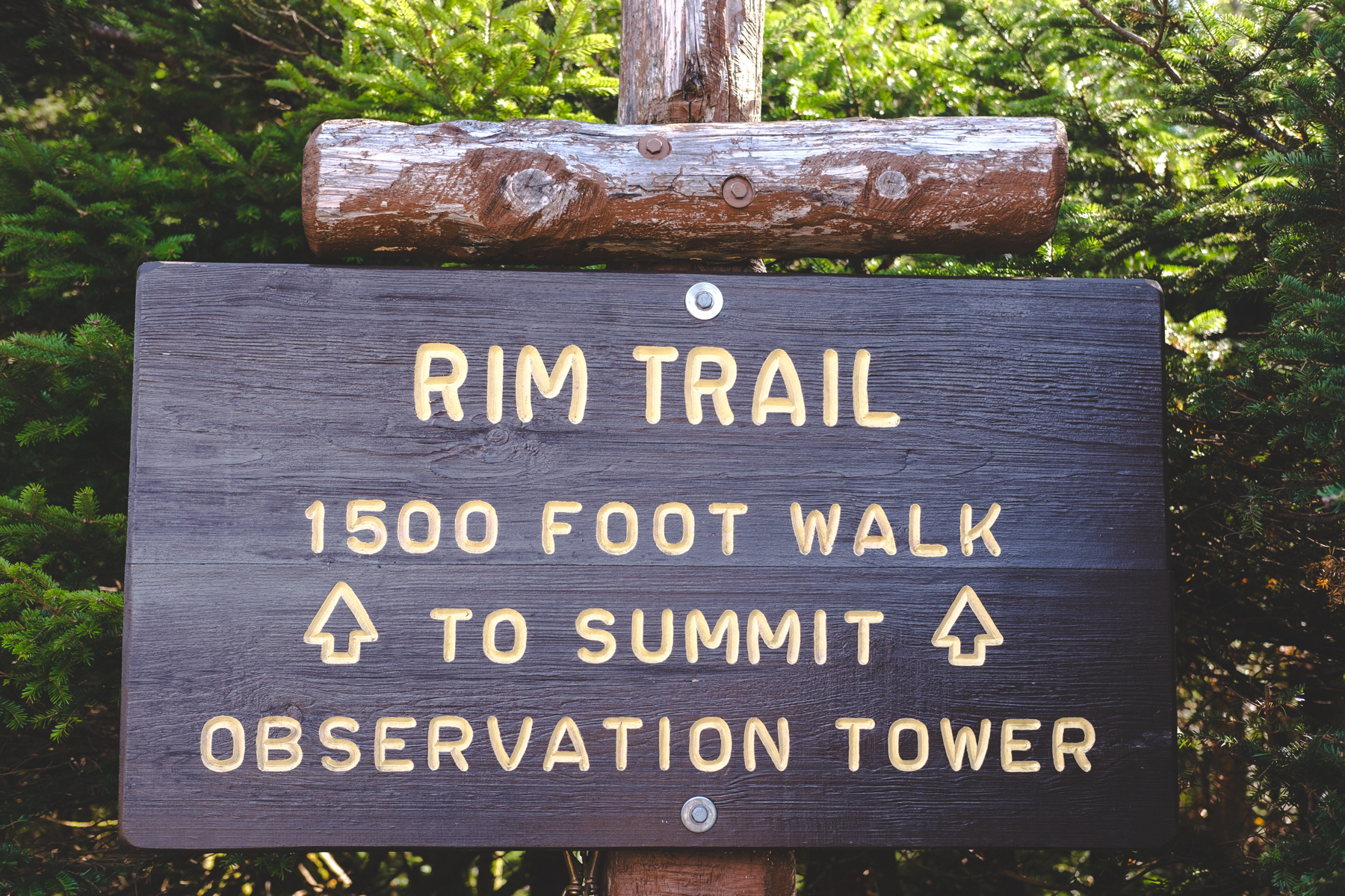A wooden sign with carved and painted text that reads “RIM TRAIL 1500 FOOT WALK TO SUMMIT OBSERVATION TOWER” with arrow symbols pointing upwards. The sign is mounted on rustic wooden posts.