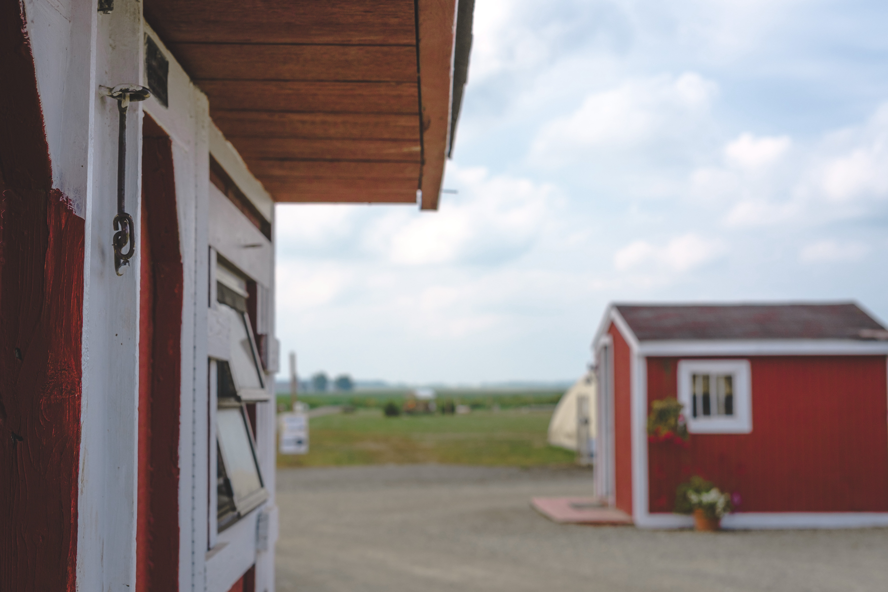 A close-up of the corner of a small barn with part of a red door visible, featuring a metal latch. In the blurred background, there is a red shed and an open landscape
