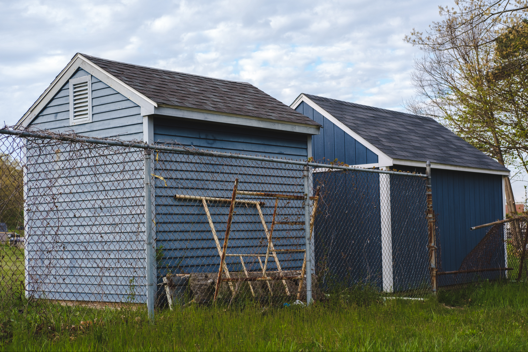 Two blue sheds enclosed by a chain-link fence with rusted metal frames leaning against them